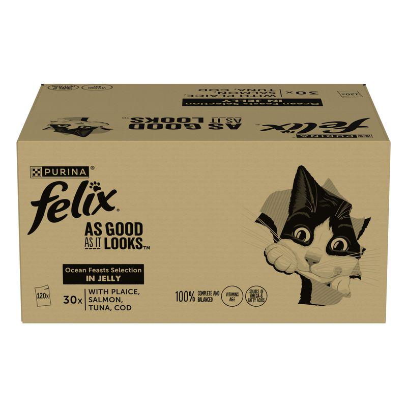 Tasty wet cat meals