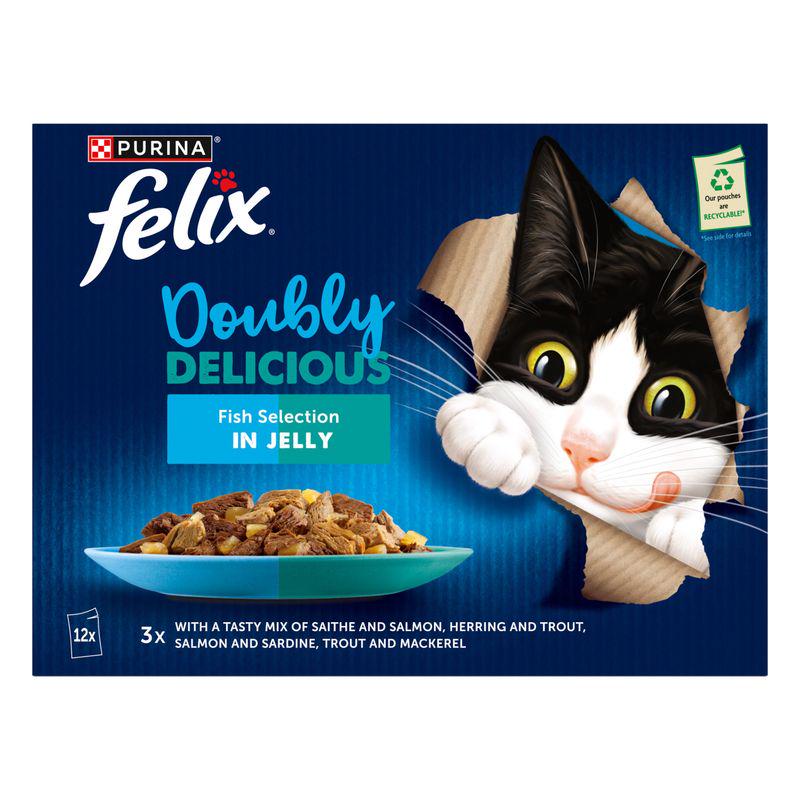 Tasty jelly cat meals