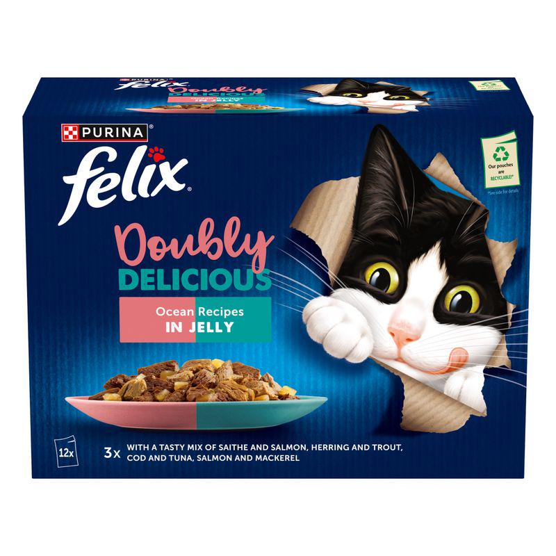 Delicious meals for cats