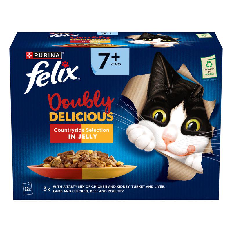 Tasty senior cat dinners