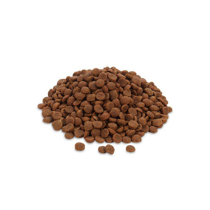 Feringa Adult Classic Fish