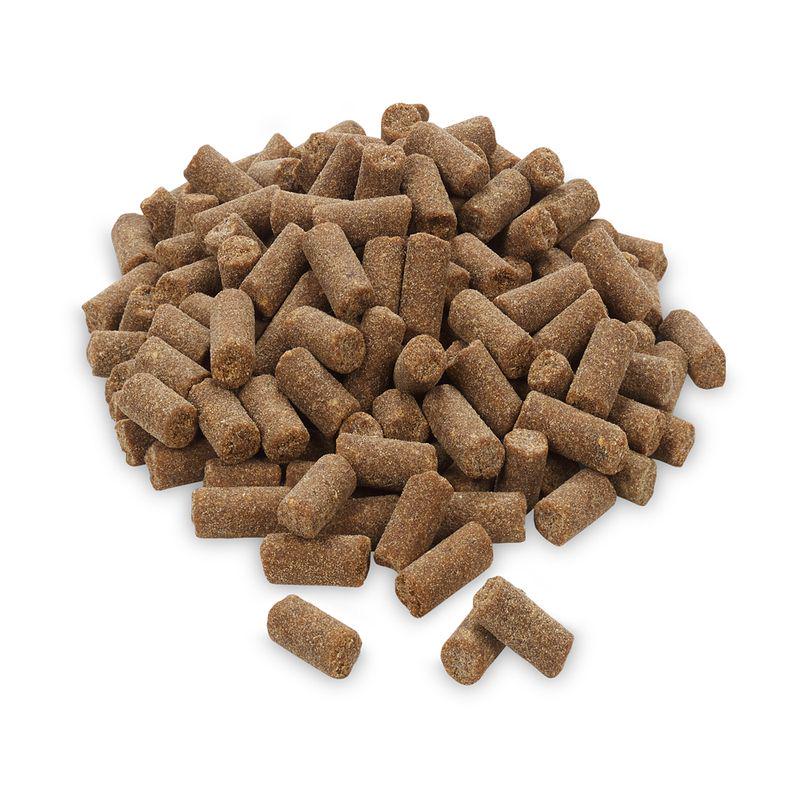 Gentle food for baby cats