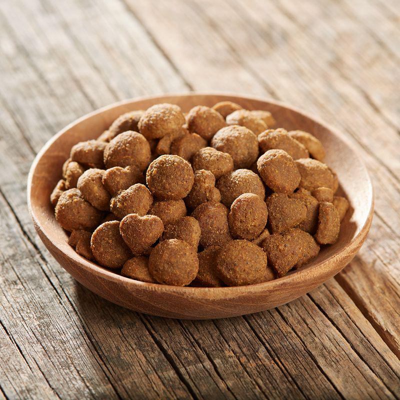 Adult cat food chicken trout