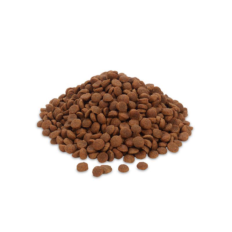 Feringa Dry Cat Food Economy Packs