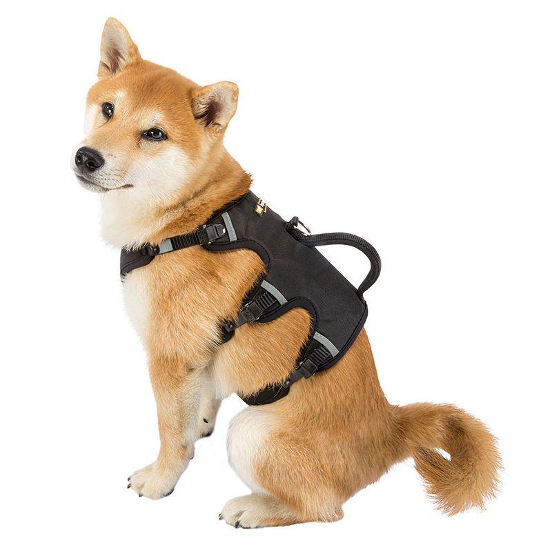 Trekking harness for dogs