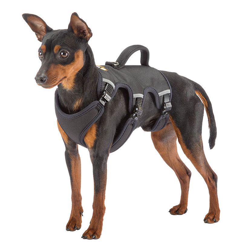 Comfortable outdoor dog gear