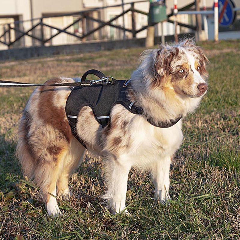 Durable ergonomic dog harness