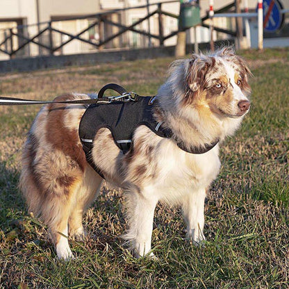 Durable ergonomic dog harness