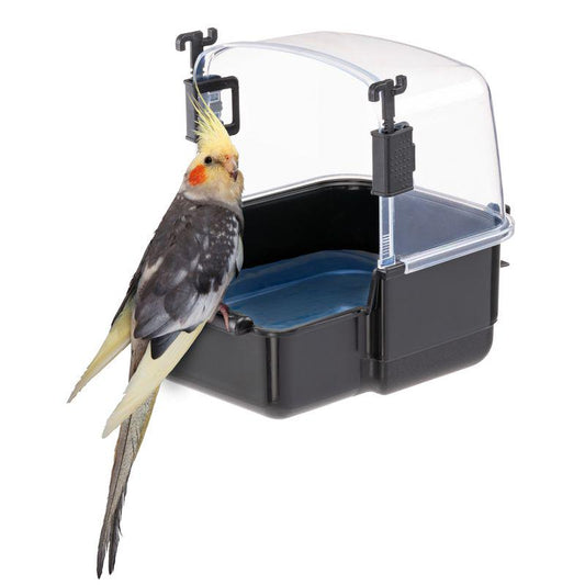 Large parakeet bath accessory