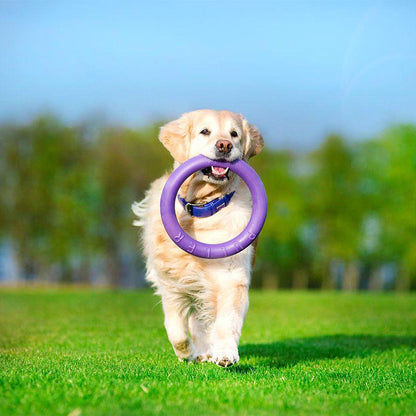 Ferplast durable toy