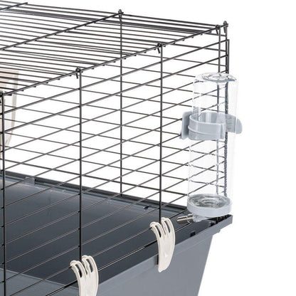 Guinea pig cage interior