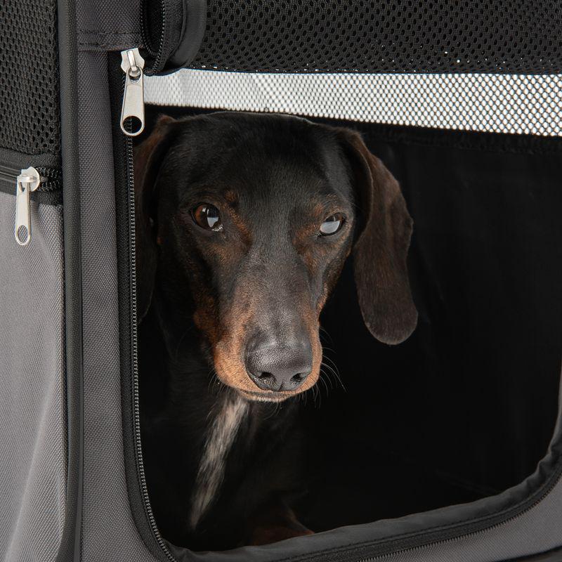 Portable dog travel crate
