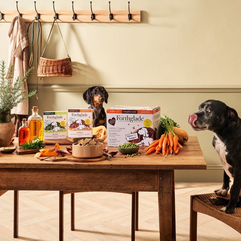 complete senior dog meal