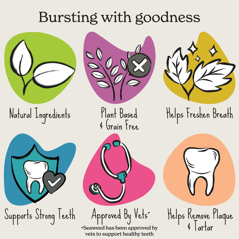 Fresh breath dog chews