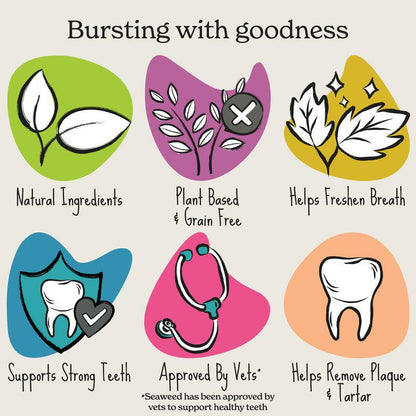 Fresh breath dog chews