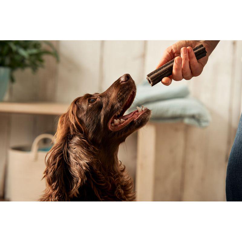 Forthglade oral health sticks