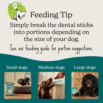 Forthglade Natural Dental Sticks for Dogs
