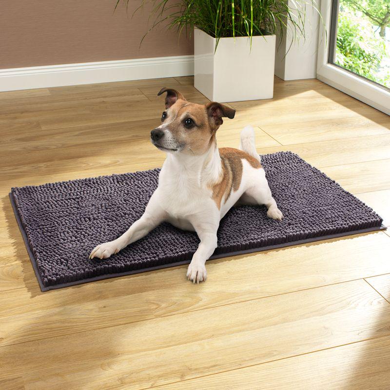 Soft grey pet fleece