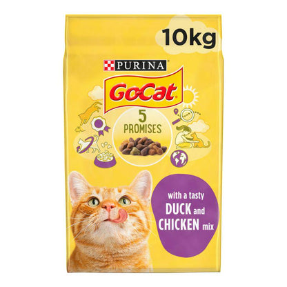 Tasty cat kibble