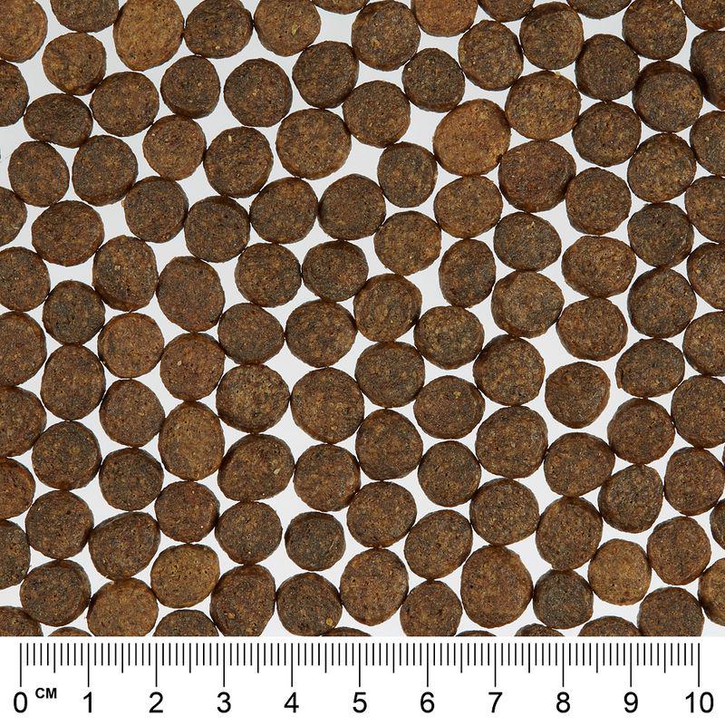 Nutritious pet food blend