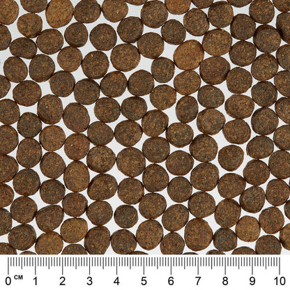 Nutritious pet food blend