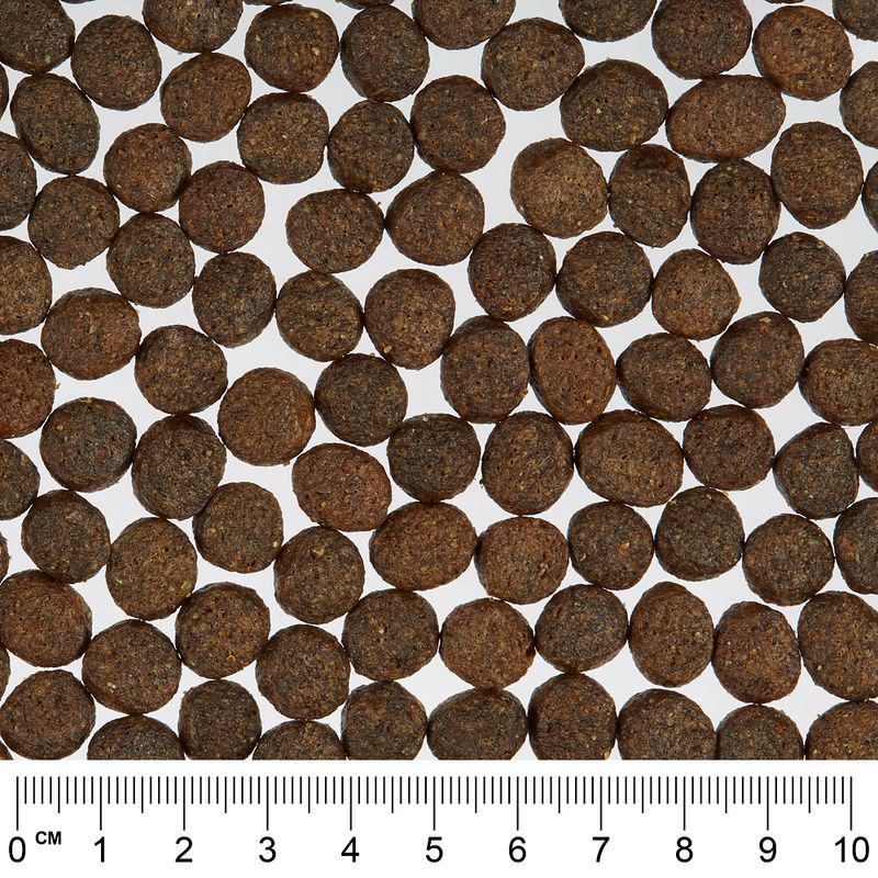 Wholesome adult cat nutrition