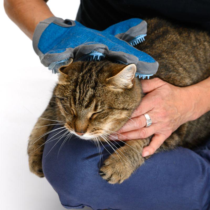 Grooming gloves 