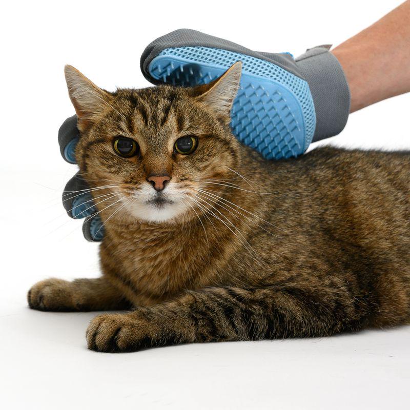 Cat grooming glove