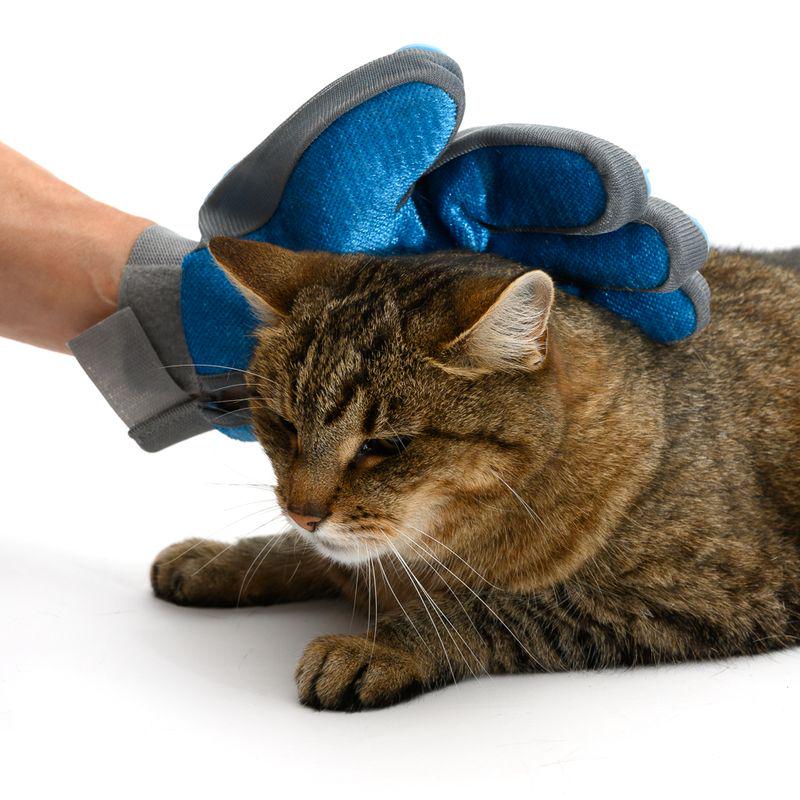 Pet care glove