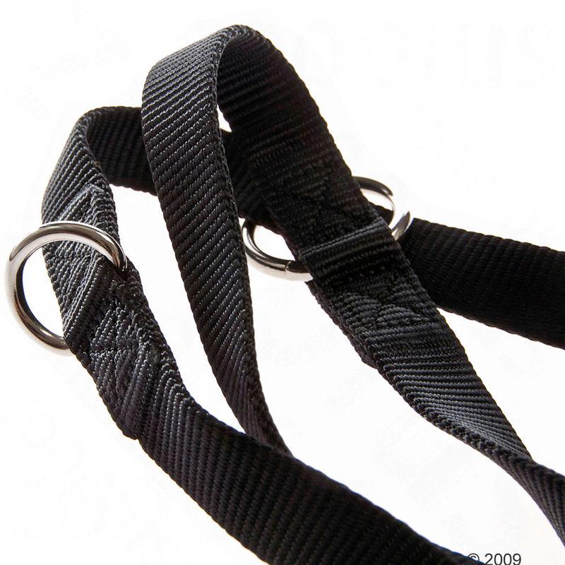 Durable pet leash