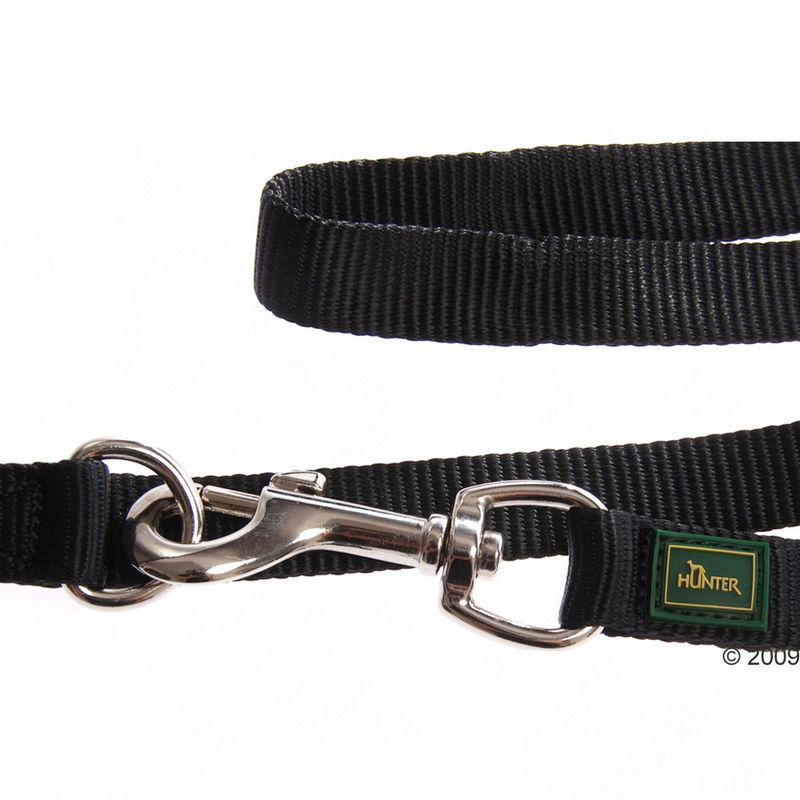 Stylish dog lead