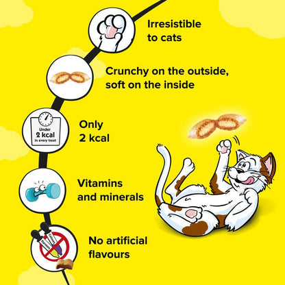 Cat food product description with cartoon cat on yellow background