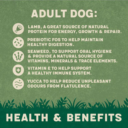 Natural dog food with lamb