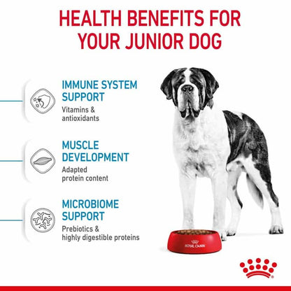 Health benefits for a junior dog with a dog and bowl on a white background