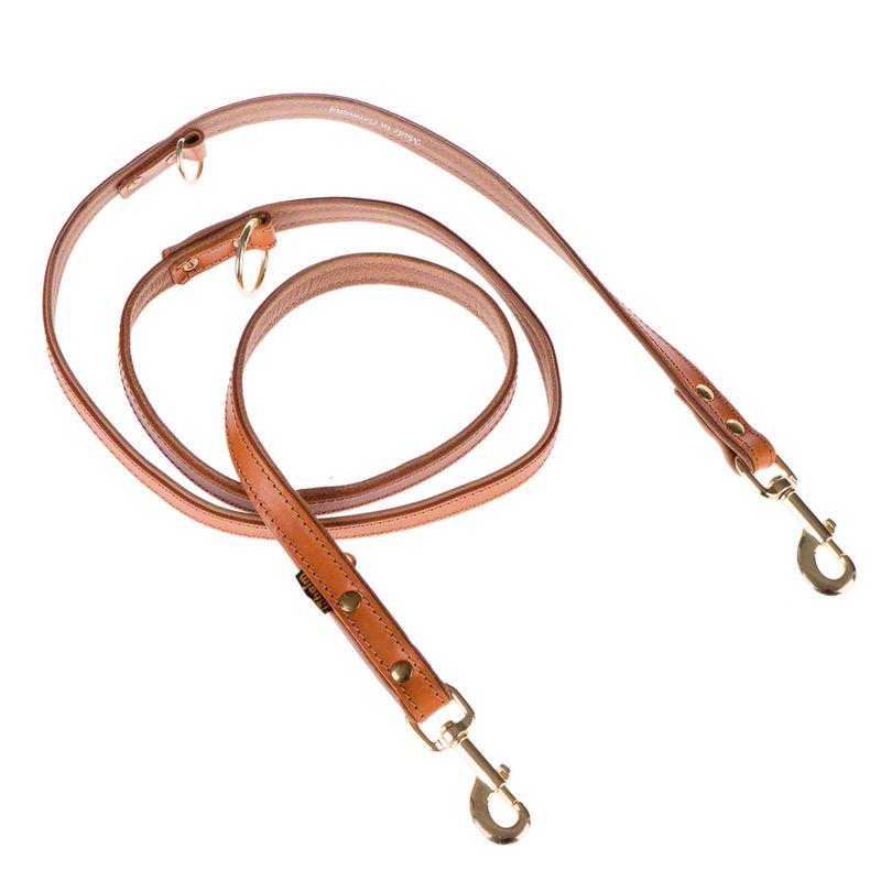 Stylish dog lead

