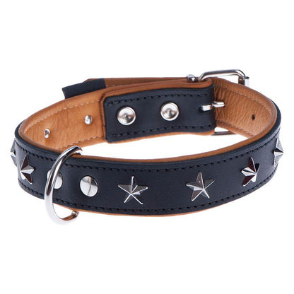 Stars leather collar