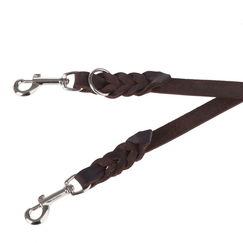 Classic twin dog leash