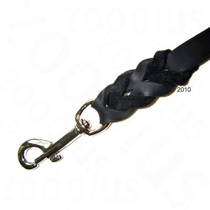 Oiled leather leash