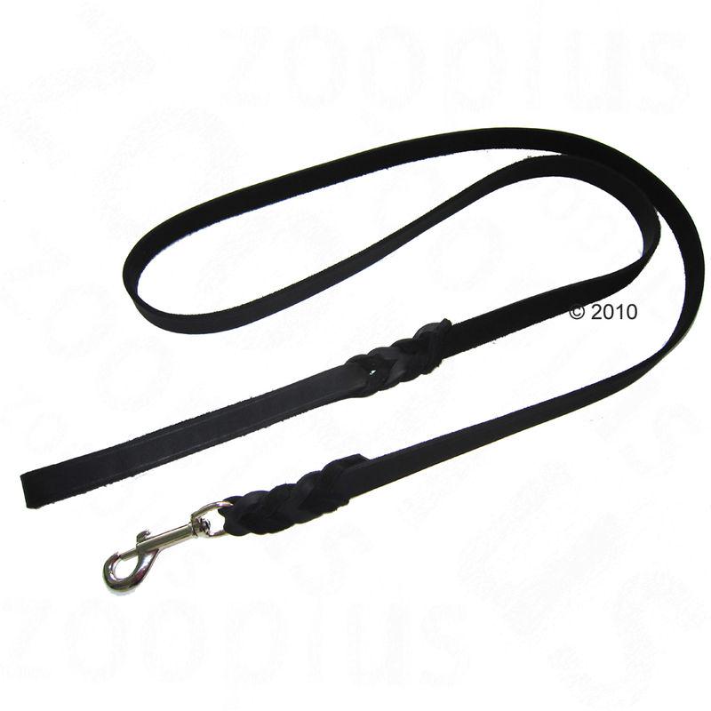 Black leather leash