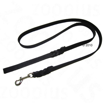 Black leather leash