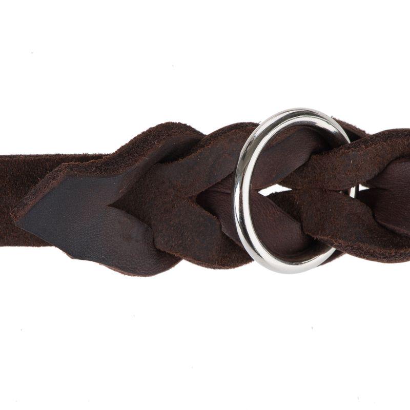 Stylish brown leash