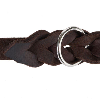 Stylish brown leash
