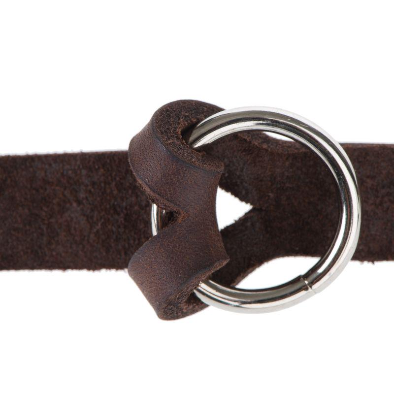 Brown dog leash duo