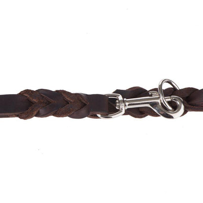 Braided leather lead