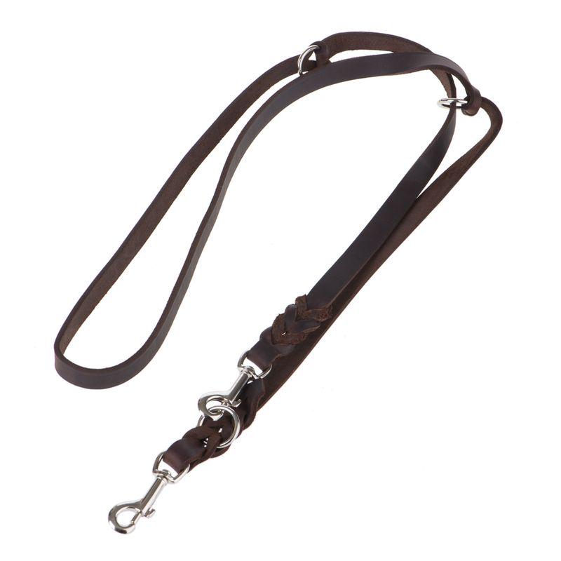 Plaited dog leash