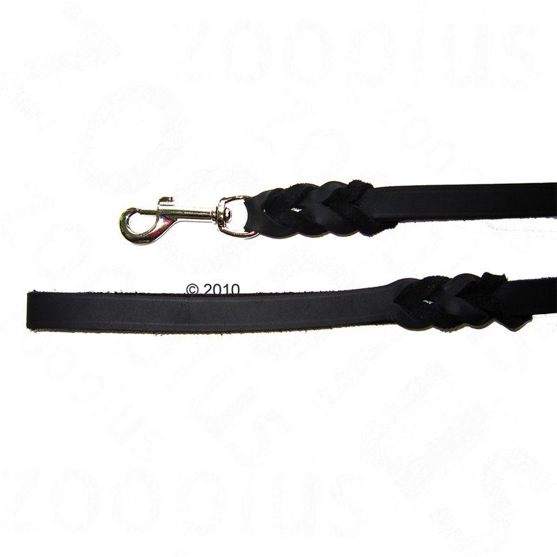 Supple leather dog lead