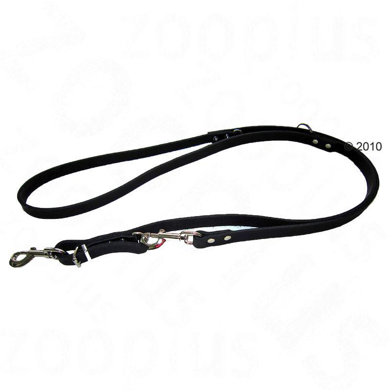 Riveted black leash