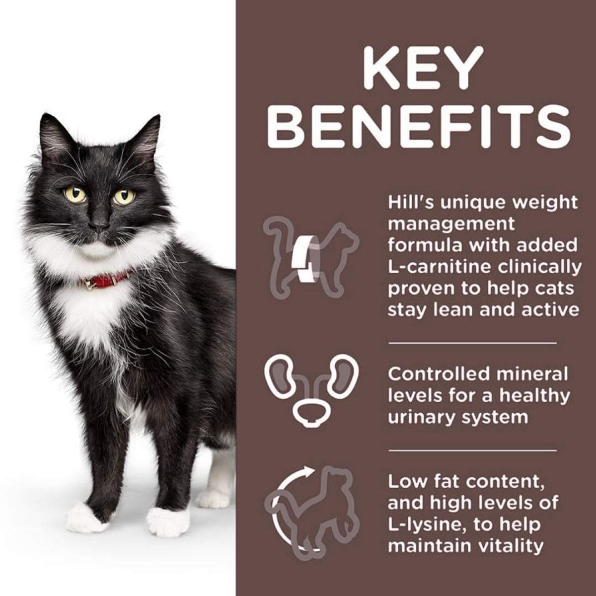 Cat with text detailing key benefits of Hill's unique weight management formula.