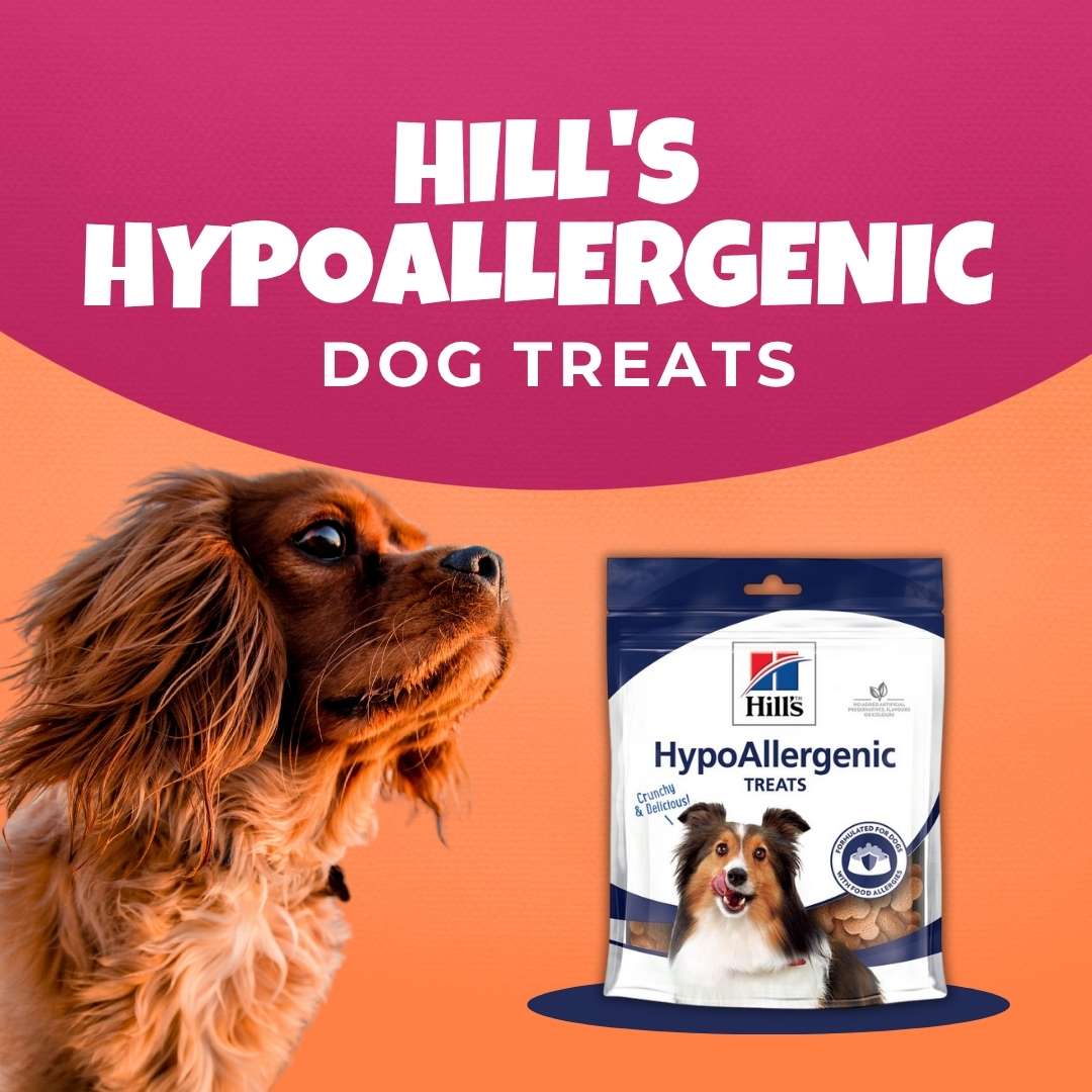 Dog Treats & Dog Bones