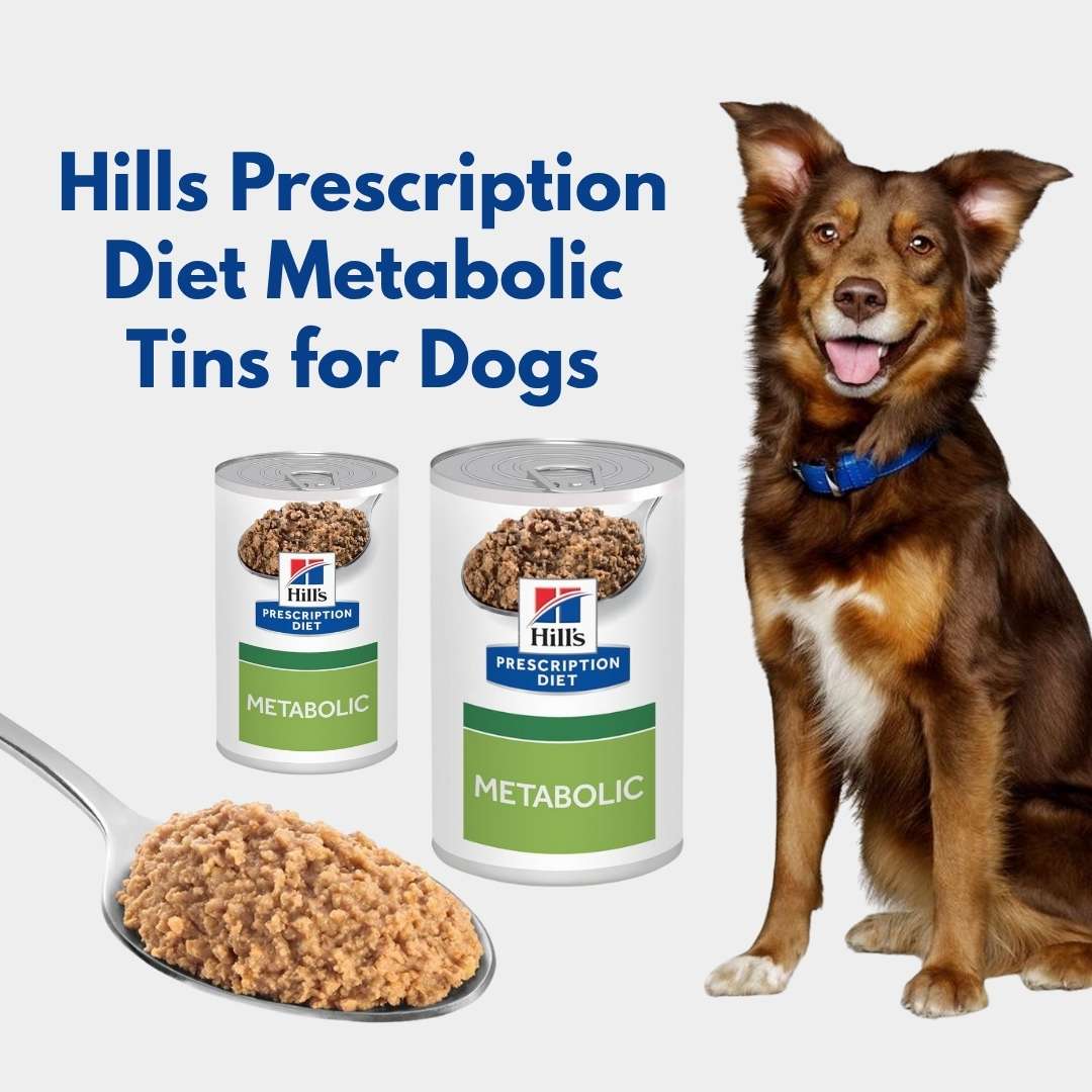 Hills Prescription Diet Metabolic Tins for Dogs with a dog sitting next to them on a white background.